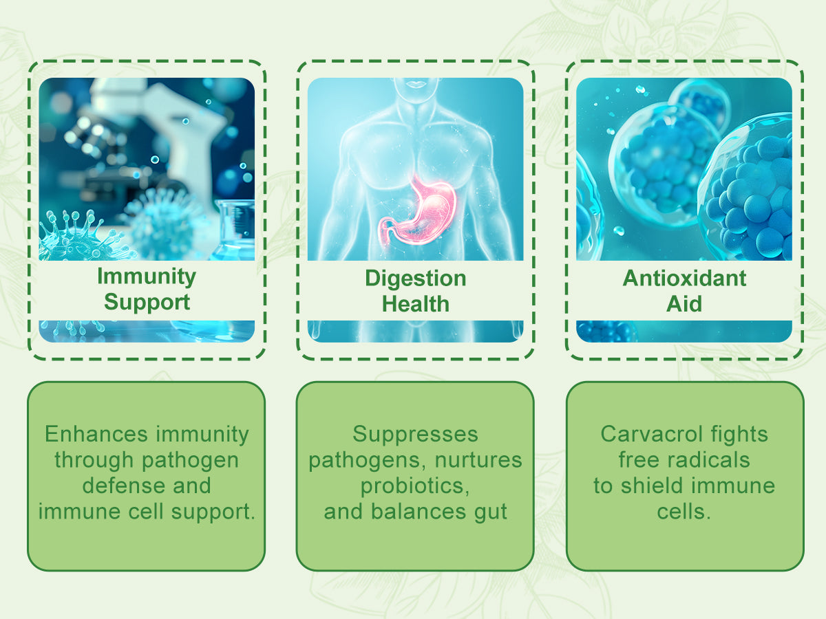 Oil of Oregano Drops(1 FL OZ)