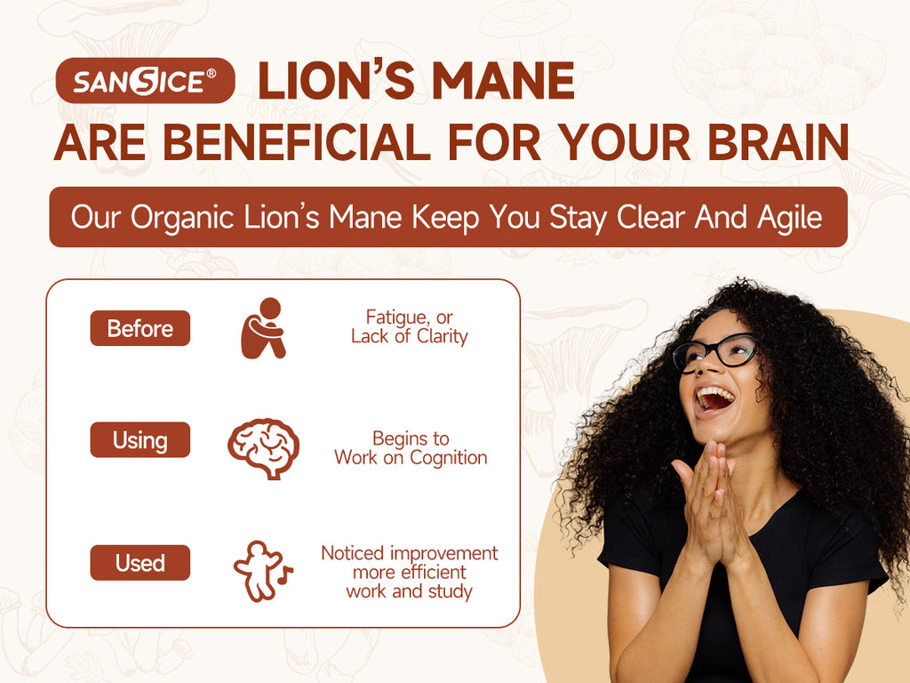 Organic Lion's Mane Focus Liquid Drops - 4 Fl oz