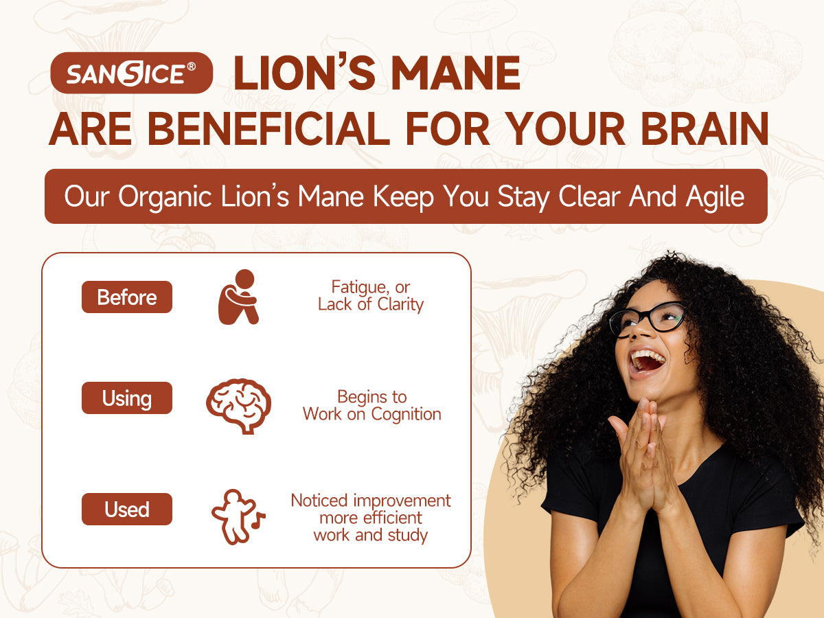 Organic Lion's Mane Focus Liquid Drops - 4 Fl oz