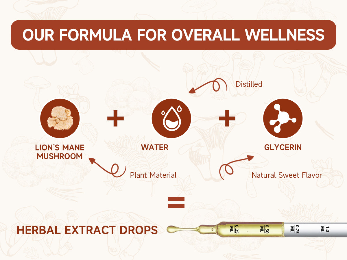 Organic Lion's Mane Focus Liquid Drops - 4 Fl oz