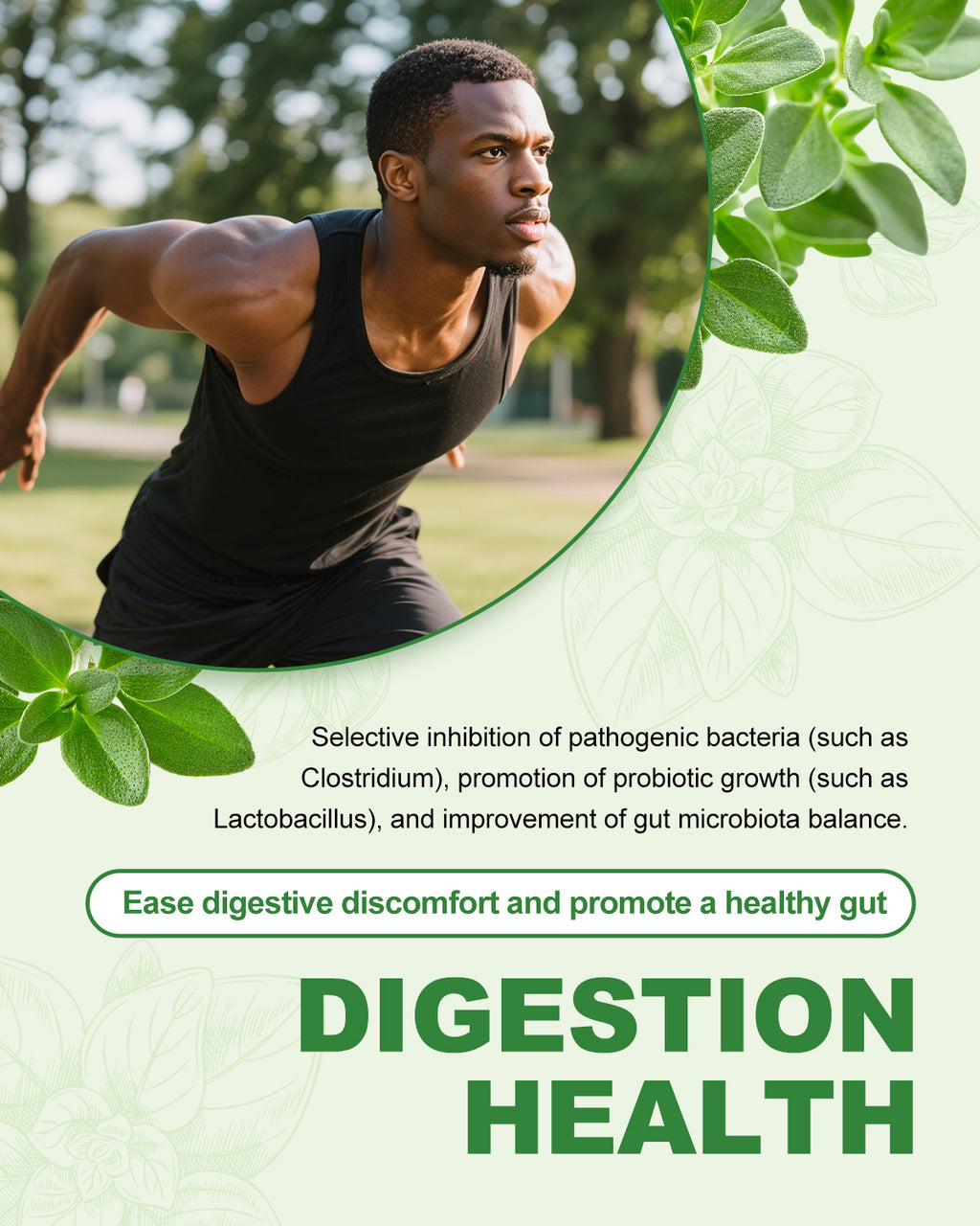 Oil of Oregano Drops(1 FL OZ)