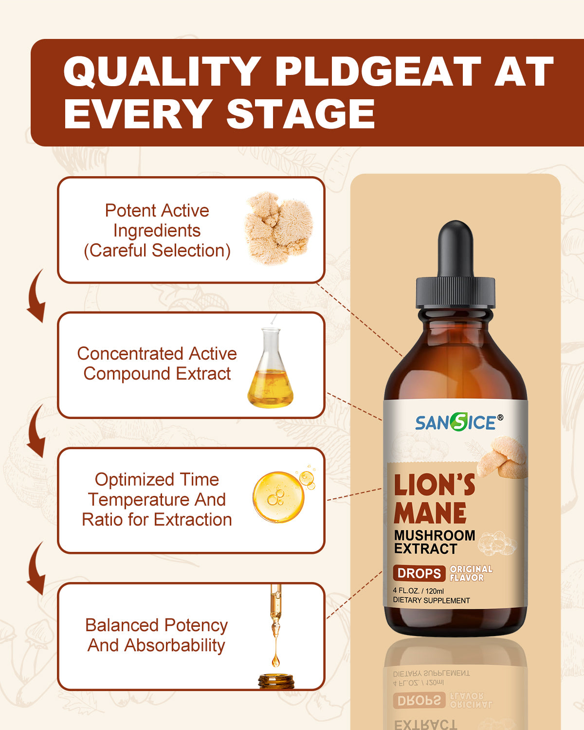 Organic Lion's Mane Focus Liquid Drops - 4 Fl oz